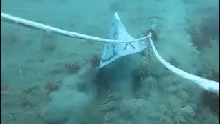 Roll-Bars Removed. Anchor Test Video # 134