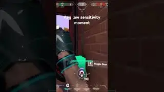 0.195 800dpi #valorantclips