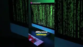 Hacker's Gold: The Lucrative Dark Web