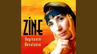 Dayıkamın