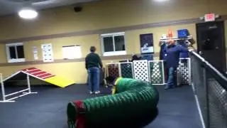 Agility Teams Training at DIM