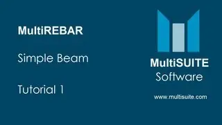 MultiREBAR Simple Beam Tutorial 1