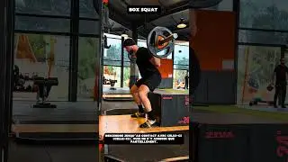Box Squat