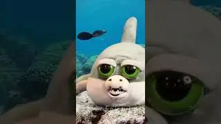 Shark cautions against eating humans!