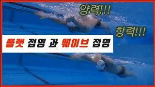 플랫 접영와 웨이브 접영 차이 & 일반인에게 추천은?
