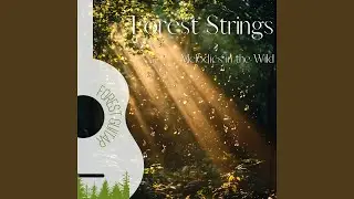 Forest Strings