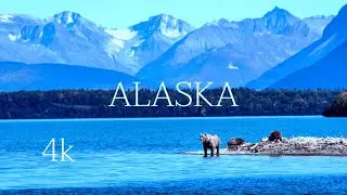 Journey to Alaska | Ice Mountains and Endless Nature
