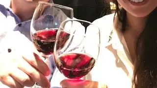 Degusta&ccedil;&atilde;o de vinhos gregos Vaeni Naoussa