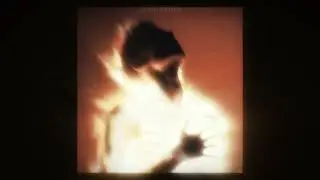 [FREE] synth TRAP Type Beat  | ¨constancia¨