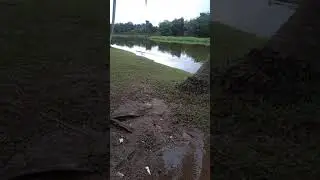 Kolam memancing