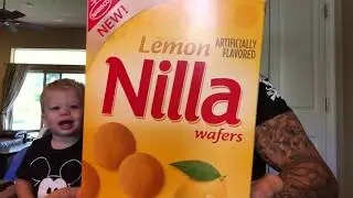 Fun Sized Review: Lemon Nilla Wafers