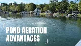 HCEM Pond Aeration Advantages: Naturally Clearer Water!