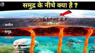 समुद्र में कितने प्राणीरहते हैं