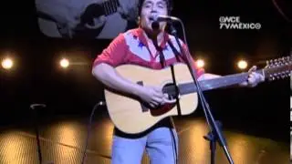 Mis aguacates - Juan Cirerol