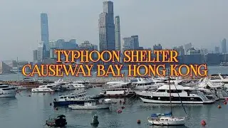 TYPHOON SHELTER, CAUSEWAY BAY,  HONG KONG!