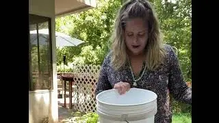 Growing White Elm Mushrooms