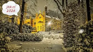 Winter 2026 | Schaffelaarse Bos (Barneveld) veranderde vanavond in een sprookje..