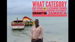 What category of Fishing  license does the National Fisheries Authority Grant in Jamaica 🇯🇲  (2023)