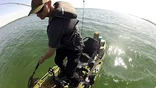 how to catch whitefish in spring/ early summer