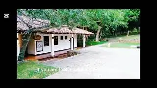 HEY! We are at Amaya Lake Dambulla 🫣              What a amazing location 🤠📸🍃