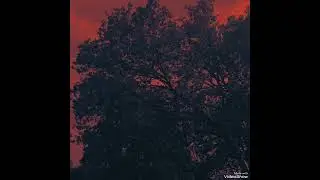 Riding The Mambo - Soulstance