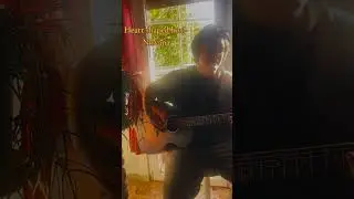 Heart shaped box - Nirvana #cover #fyp #nirvana