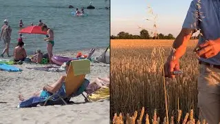 Rekordtemperaturen in Deutschland: Fluch und Segen der Hitzewelle | DER SPIEGEL