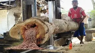 Sawmill with fast and efficient methods.