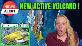 HUGE ACTIVE Underwater Volcano DISCOVERED - Covered  by Millions of mysterious GOLDEN Objects !