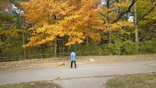 by khumaw reh yellow leaves 2021 karenni people talkshow video