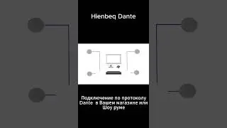 Подключение в магазине или шоу руме Hienbeq Dante