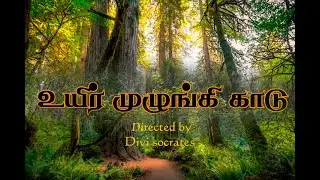 உயிர் முழுங்கி காடு SHORT FILM/DIVI SOCRATES/PUSHPARAJ/MATHAN CASTRO/