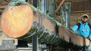 STUNNING, Sawing hard coconut lumber becomes soft, cattle barn beams vs sawmills