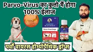 Parvo Virus treatment in dogs & puppies ॥parvo virus homeopathic drops by Dr R.P Shukla #parvo #dog 
