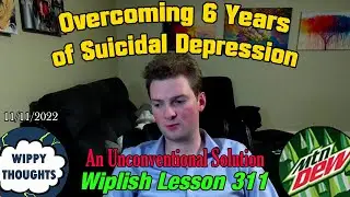 My Experience with Suicide & Depression | Wiplish Lesson 311 - 11everse11