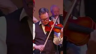 Darcy Stamp | Jazz Violin | Stamp Collector Suite - Pernicious & Polarized
