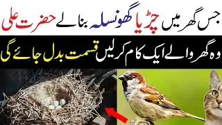 Jis Ghar Main Chidiya Ghosla Bna Ly | Is Ghar Main Kiya Hota | Hazrat Ali (RA)