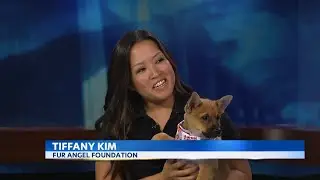 2023 Fur Angel Foundation K-9 and Keiki Carnival