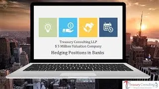 Treasury Consulting LLP (Webinar) - Hedging Positions in Banks (DB)