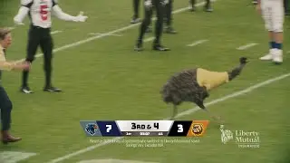 Streaker (Short) | LiMu Emu & Doug | Liberty Mutual Insurance Commercial