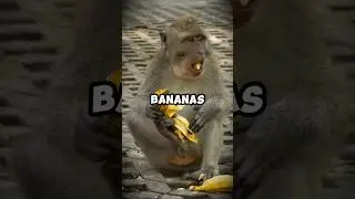 If You Eat Two Bananas Every Day, THIS Happens to Your Body! 🍌🔥