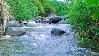 Gentle River Water for Deep Rest