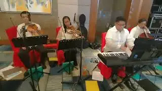 BINK'S SAKE from One Piece  MANILA EVENT MUSICIANS WEDDINGS QUEZON CITY MAKATI TAGUIG PASIG MARIKINA