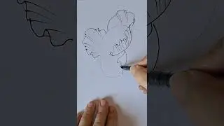 Disegnare facilmente: papavero