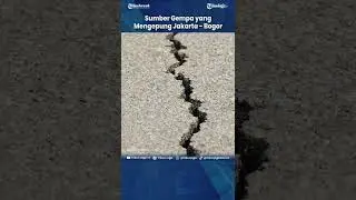 MENGENAL SUMBER POTENSI GEMPA YANG MENGEPUNG JAKARTA   BOGOR #Shorts