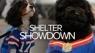 Shelter showdown: Bills Mafia and Chiefs Kingdom compete in fundraiser