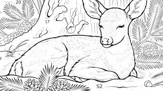 fawn lies relaxed in the forest | Coloring Games