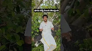 A Bhoomi survey number ayna telusukovachu....??#raj #education #lands #realestate #agrilands#telugu