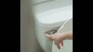 Diarrhea vs. Constipation. 