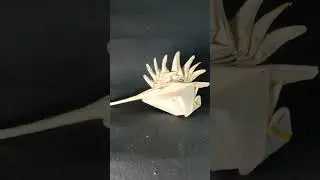 origami MUREX